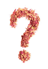 Question mark sign made of rose petals, isolated on white background. Food typography. Design element.