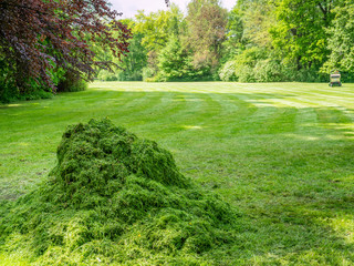 Grashaufen Grünpflege im Park