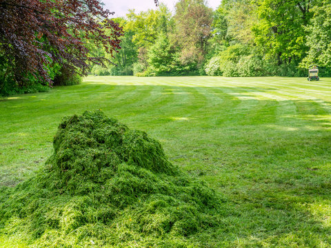 Grashaufen Grünpflege im Park