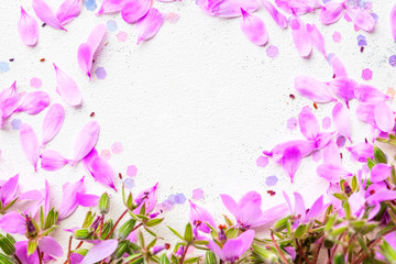 Blossom pink flowers on white pastel background.