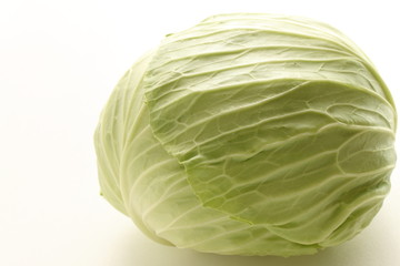 Fototapeta premium freshness cabbage from Japan