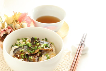 Japanese food, pacific saury and green onion on rice