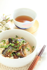 Japanese food, pacific saury and green onion on rice