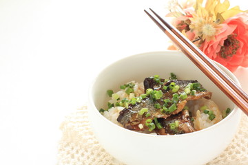 Japanese food, pacific saury and green onion on rice