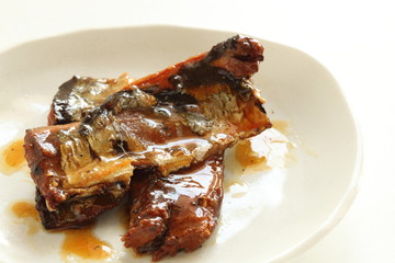 Canned food, pacific saury on dish with copy space