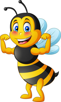 Strong bee cartoon. vector illustration