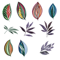 A set of leaves. Watercolor painting set of leaves on a white background. Hand draw watercolor illustration. Design element. Elegant leaves for art design.