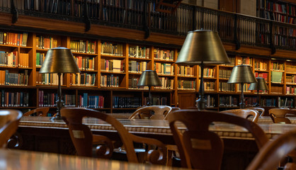 New York Public Library II © Bruno Coelho