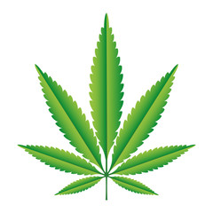 Green Hemp leaf vector illustration