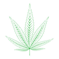 Green Hemp leaf vector illustration