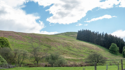 Naklejka premium scotland comrie view