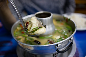 Thai spicy soup with catfish (Asian redtail catfish) in fire pot