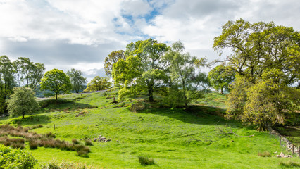 scotland comrie view