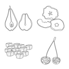 Vector illustration of food  and raw  symbol. Collection of food  and nature  stock symbol for web.