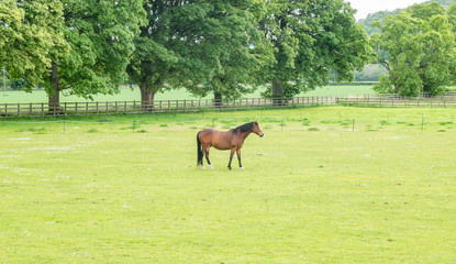 scotland comrie view © Urmas