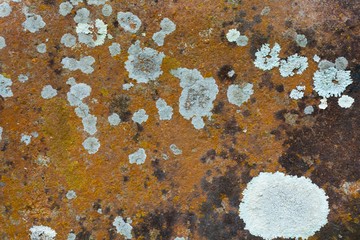 Rock surface  pattern , khao yai national park, Thailand