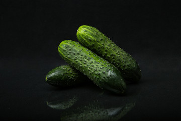 cucumbers with pimples isolated on a black background with reflection