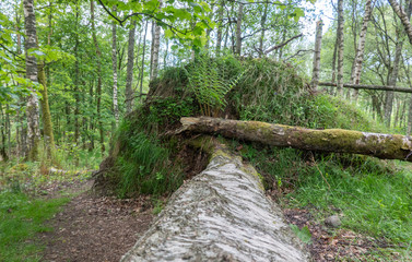 scotland comrie view