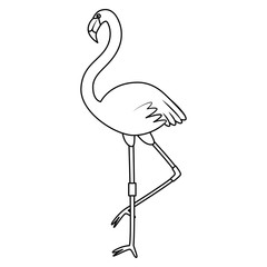 beautiful exotic flemish bird summer icon