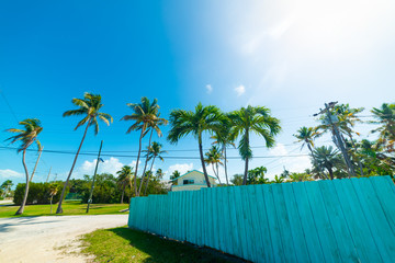 Sun shining over a residential neighborhood in Florida Keys
