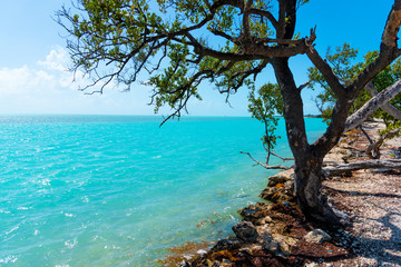 Fototapeta na wymiar Turquoise water in Florida Keys