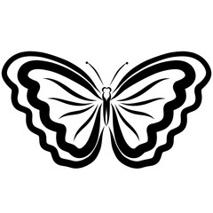 beautiful butterfly with big wings   black pattern