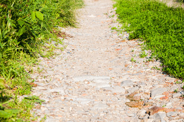 narrow stony path. Green grass grows on either side. Summer day.