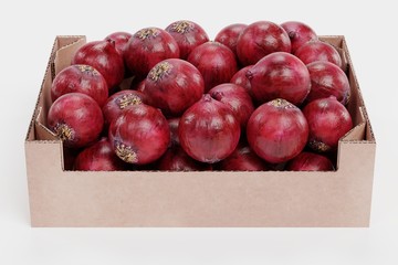 Realistic 3D Render of Onions in Box