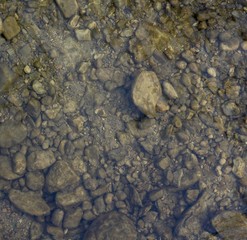 A close view of the underwater rock in the clear water.