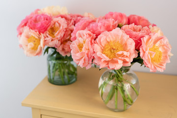Cozy and atmosphere at home. Two glass vases with Coral peonies. Morning light in the room. Beautiful peony flower for catalog or online store. Floral shop and delivery concept .