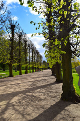 alley in the park