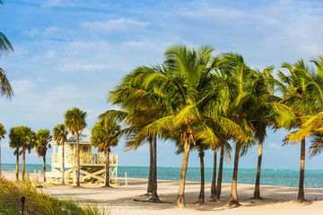 Fototapeta premium Palm trees and white sand in Key Biscayne at sunset