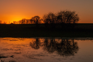 Silhouttes of trees reflected in a pool of water, just after sunset, in the east Flemish County side.