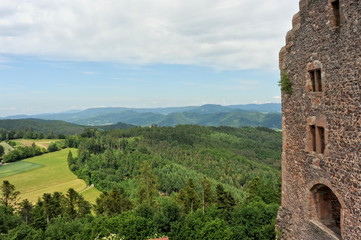 Fototapeta na wymiar Burgruine Hohengeroldseck im Schwarzwald