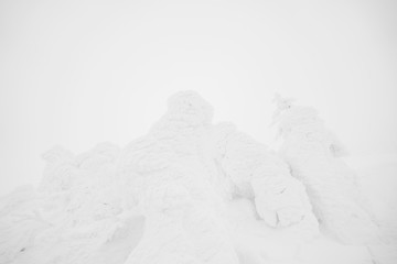 Fototapeta na wymiar Snow Monsters area Mountain Zao, Japan .
