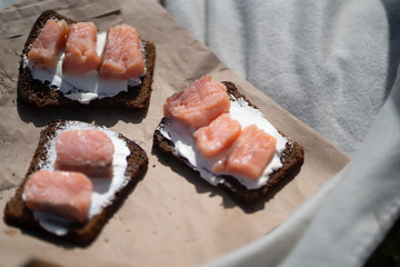 sandwiches with fish and white curd cheese camping meal lifestyle