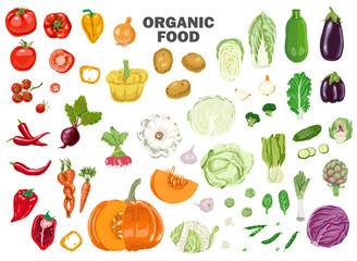Big set of colored vegetables.