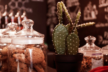 Coffee shop, coffee shop warm background. Place for text.
