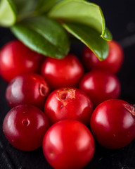 Harvest fresh red Vaccinium vitis-idaea, cranberries, lingonberries, cowberries on rustic dark background. Autumn winter concept. Close-up food image.