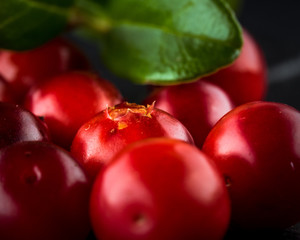 Cowberry (foxberry, lingonberry). Wild cranberry on dark rustic background. Ripe red forest berries Vaccinium vitis-idaea with green leaves. Copy space.