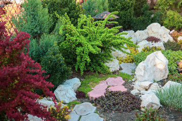 Garden design with plants, bushes and stones