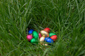 Easter egg hunt: chocolate eggs in a nest of grass
