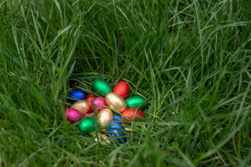 Easter egg hunt: chocolate eggs in a nest of grass
