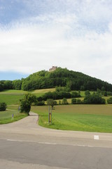 Burgruine Hohengeroldseck im Schwarzwald