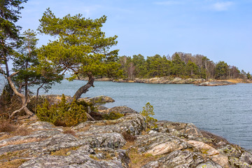 Typical for the Swedish archipelago coast are the stones cut by glaciers