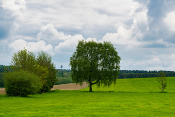 Oberschwaben im Frühling