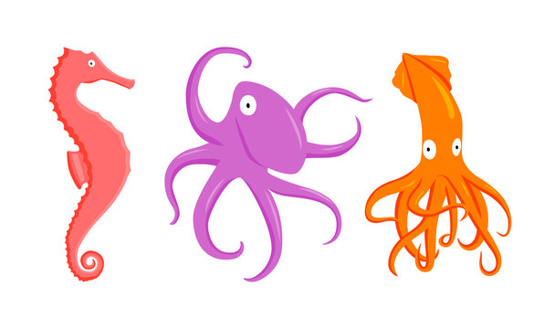 set of vector illustration flat cartoon coral seahorse, purple octopus, orange squid flat character on white background. Cartoon animals for design, background, card, print, textile, paper