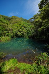 三原山山麓の硫黄沼