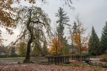 Autumn park in city  with  small lake and bridge