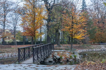 Autumn park in city  with reflection in small lake and bridge